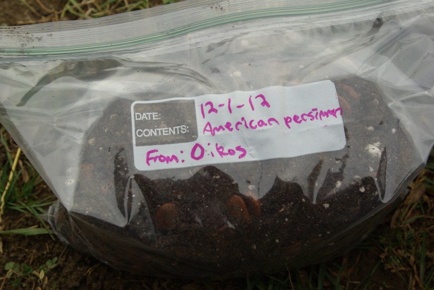 Excuse my elementary hand writing. Include details like the where the seeds came from and when you stored them away. 