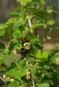 7016122039_2ca1db5442_o